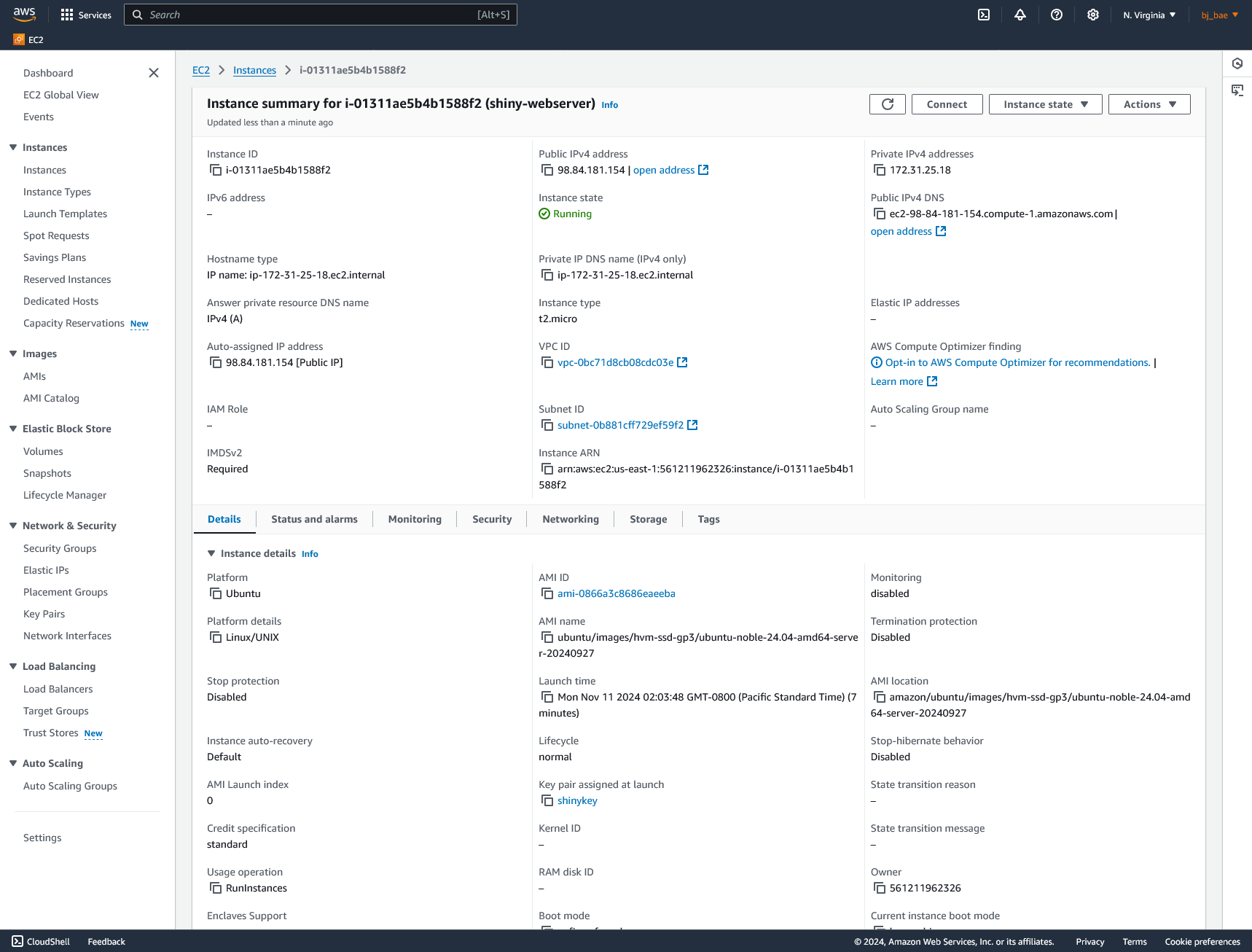 Deploying Shiny for Python App as an AWS Web Application | bbae